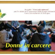 NON Solo Mimosa foto_800_600_frame