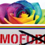 Omotransfobia_def 800_600