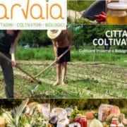 Arvaia_def_ult_800_600