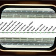 ex Veneta_def_Bologna Portomaggiore