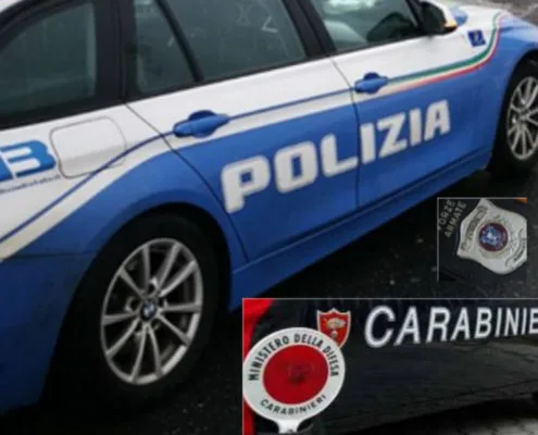 Percezione di insicurezza_forze dell'ordine