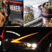 Droga_Bologna_nuovi arresti_def