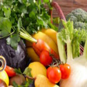 Ius cibi nello Statuto del Comune di Bologna